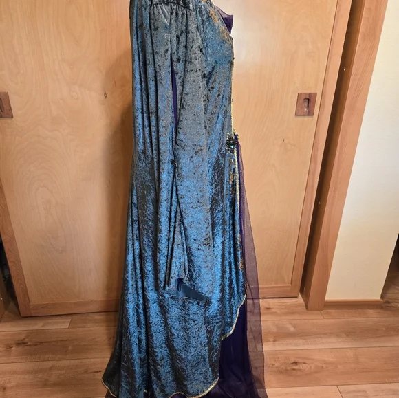 Disney Hocus Pocus Winifred Sanderson Cosplay Costume Dress Adult Womens 2X - Picture 2 of 8